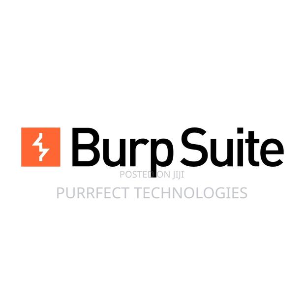 Burp Suite Professional 2025 - thumbnail 3