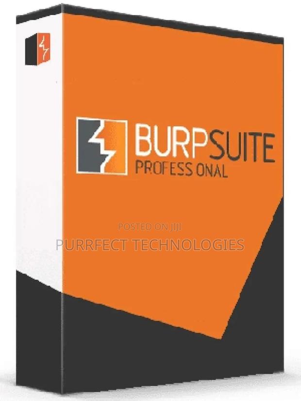 Burp Suite Professional 2025 - main view