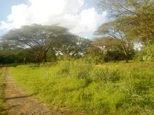 An Acre of Land on Sale Garden Estate