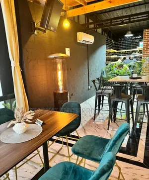 Indoor Outdoor Cylindrical Shape Gas Warmer Heater