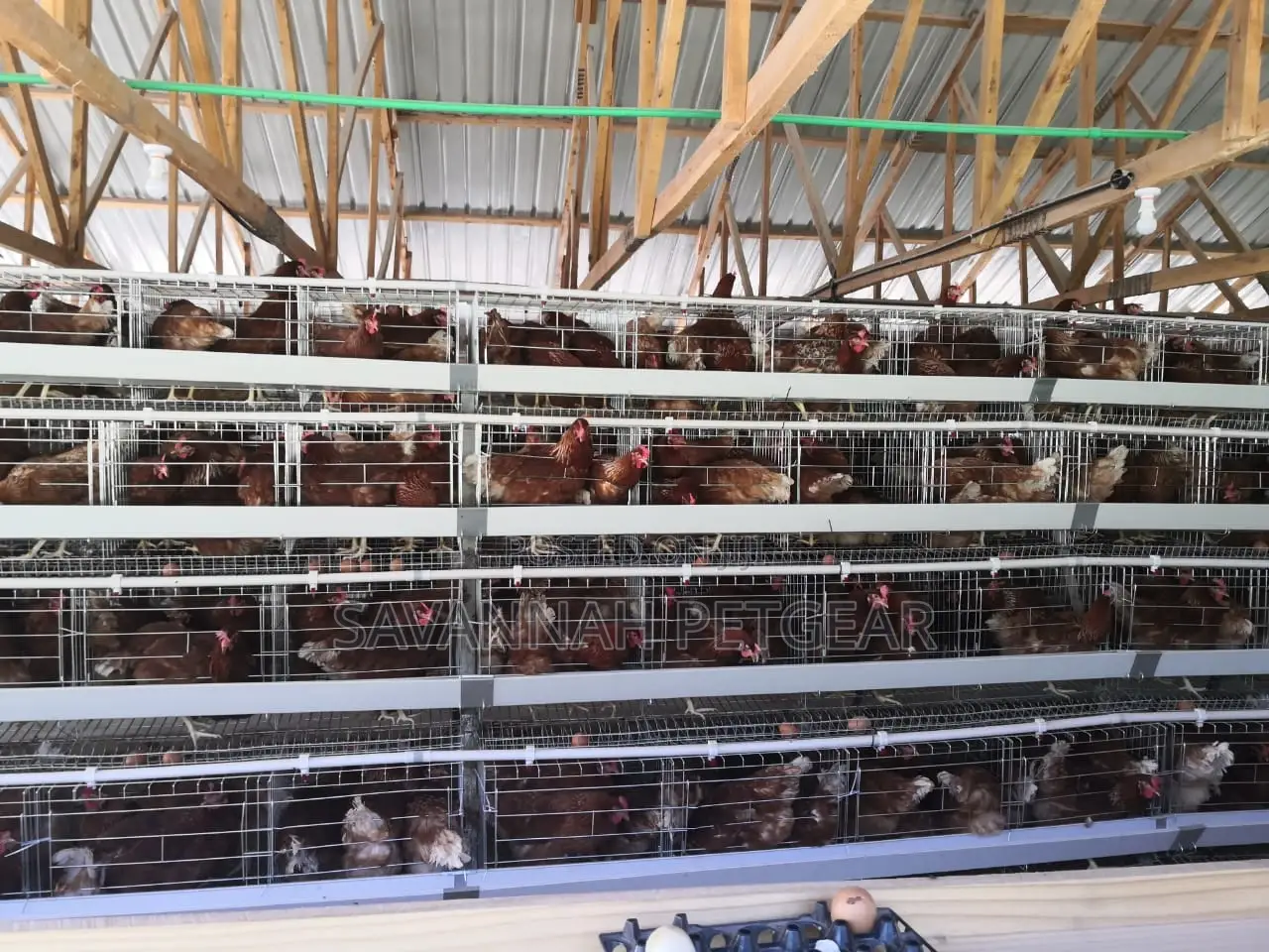 A-Type Customized Layer Chicken Cage for 64 Layers