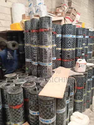 App Membrane for Waterproofing Flatroofs