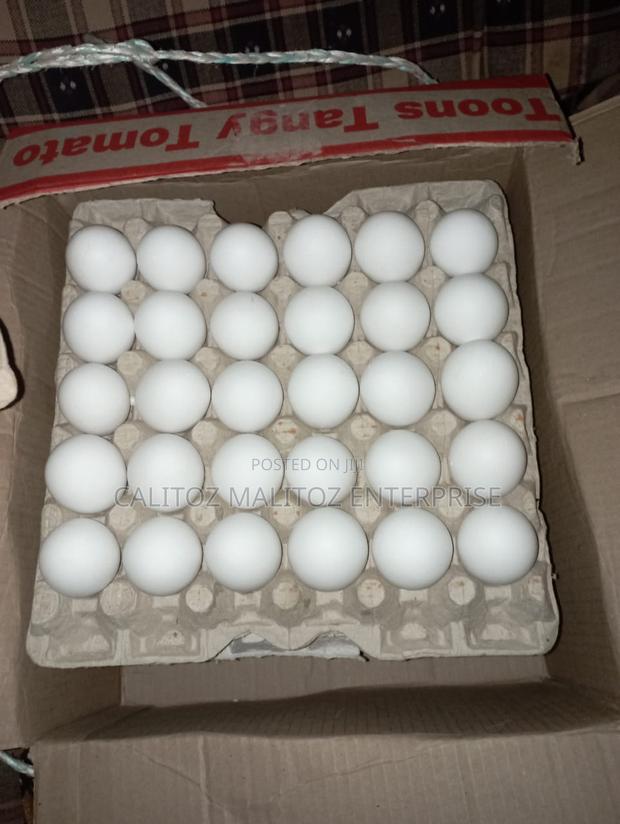 White Leghorn Eggs - main view