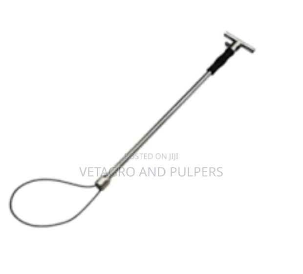Pig Restrainer - main view