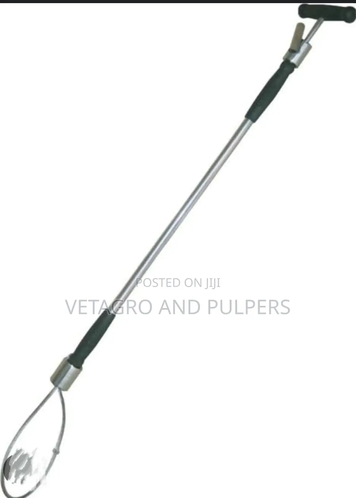 Pig Restrainer