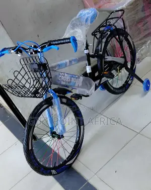 Size 20" Kids Bike Blue in Color