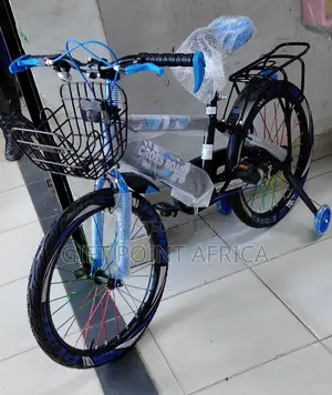 Size 20" Kids Bike Blue in Color