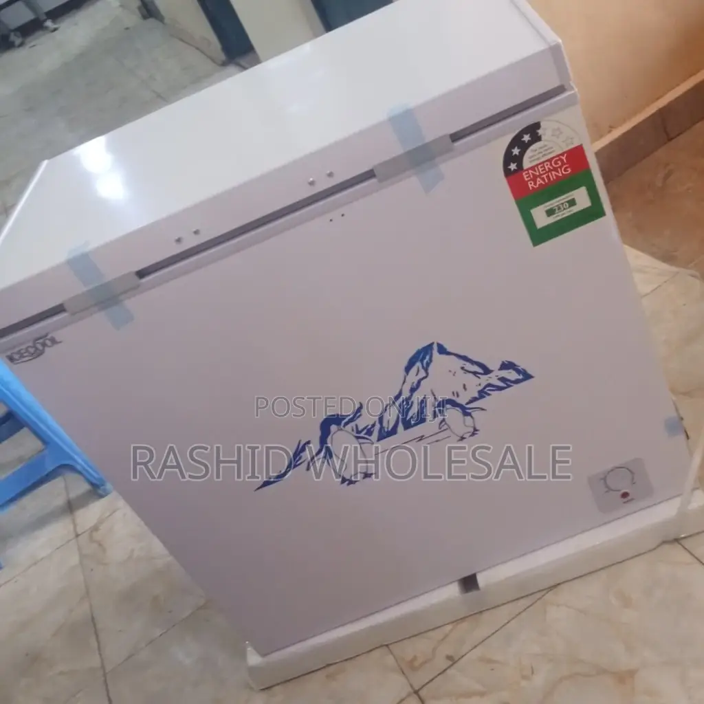 Iecool 169L