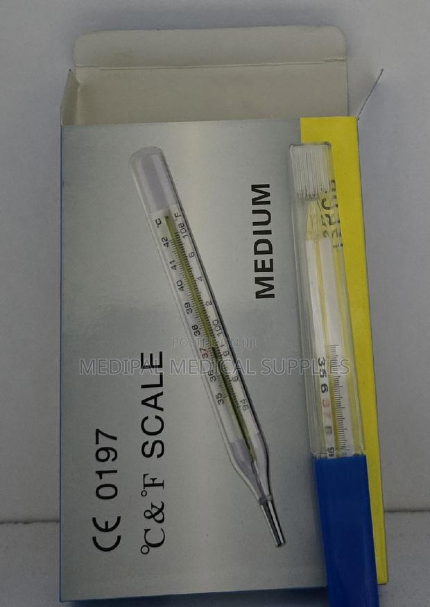Mercurial Thermometer