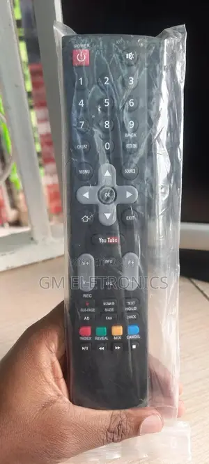 Skyworth Smart Remote With Batteries.