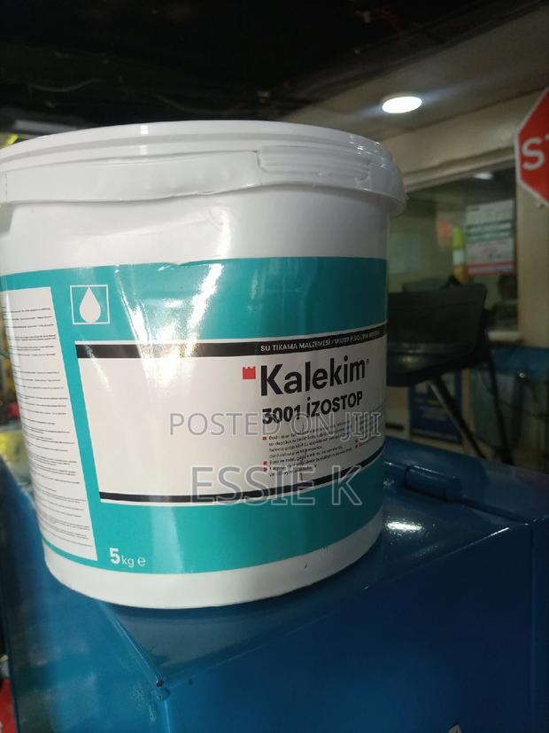 Waterplug 5kgs/Kalekim Izostop 3001