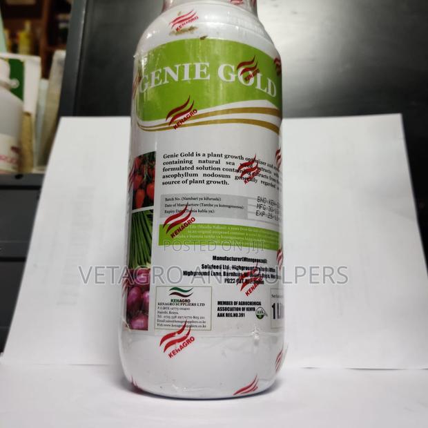 Genie Gold Kenagro - main view