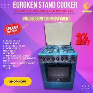 Euroken 3+1 60*65 Standing Cooker