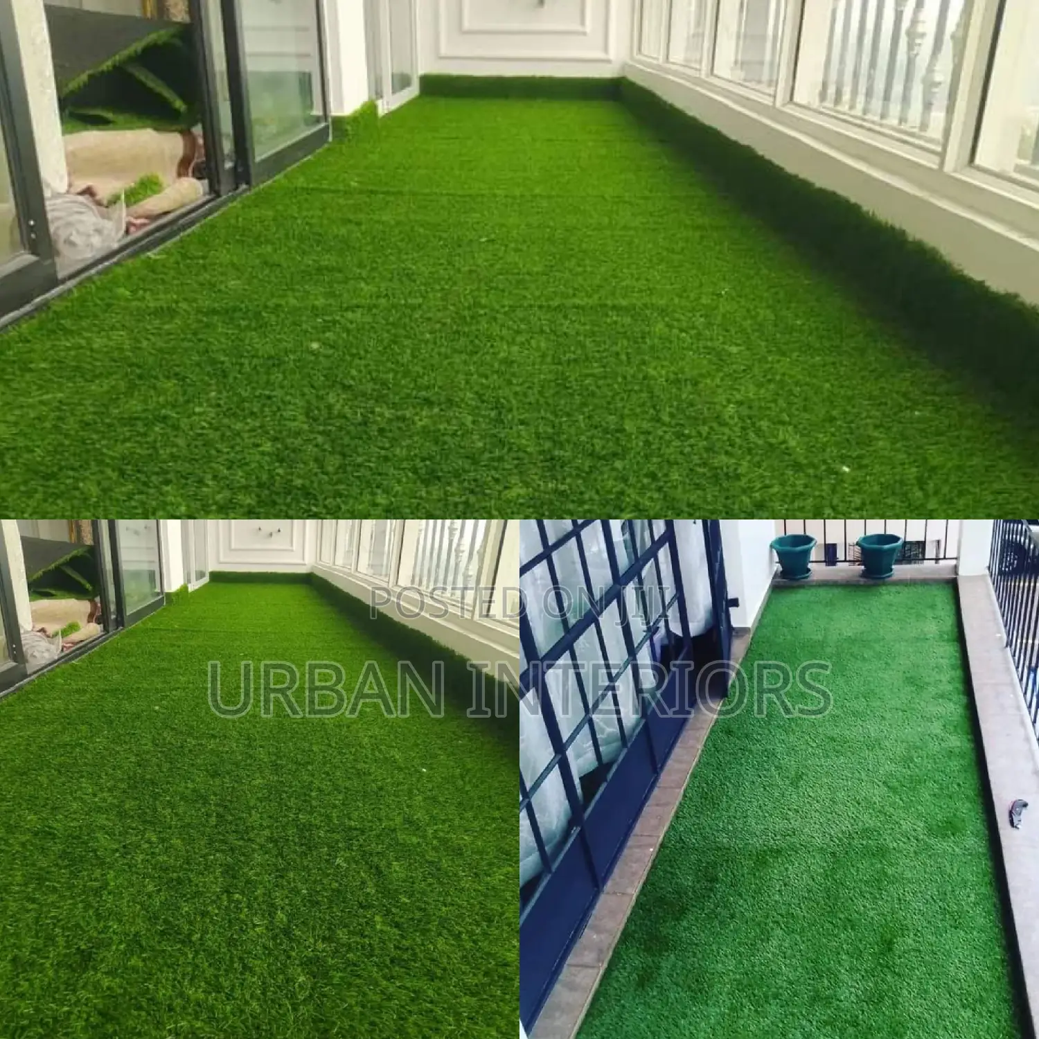Grass Carpet Grass Carpet Grass Carpet Grass Carpet