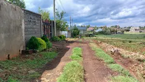 Residential 40x80 in Ruiru Mugutha