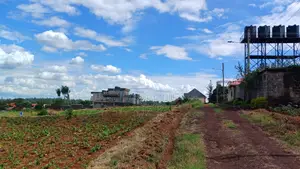 Residential 40x80 in Ruiru Mugutha