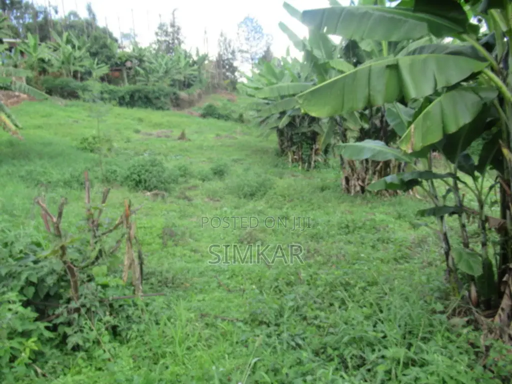 1/4-Acre Plot for Sale in Muthiga