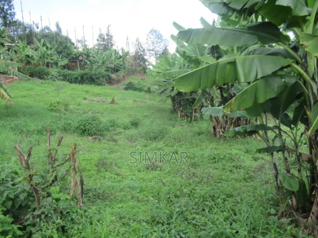 1/4-Acre Plot for Sale in Muthiga