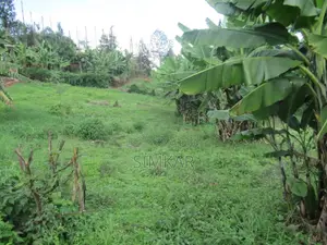 1/4-Acre Plot for Sale in Muthiga