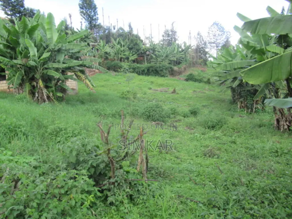 1/4-Acre Plot for Sale in Muthiga
