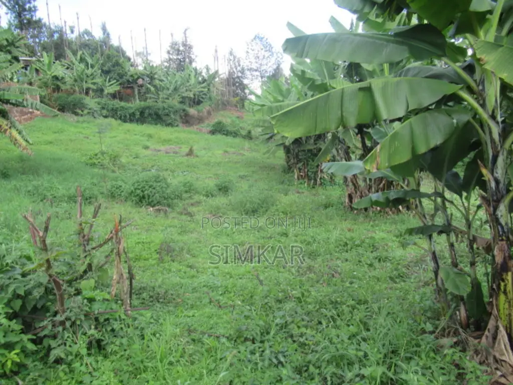 1/4-Acre Plot for Sale in Muthiga