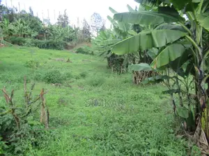 1/4-Acre Plot for Sale in Muthiga