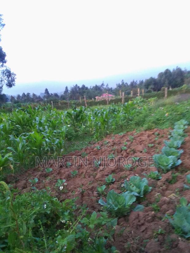 50 by 100 Murengeti - thumbnail 3