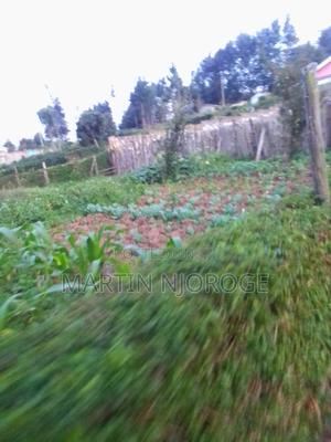 50 by 100 Murengeti - thumbnail 2