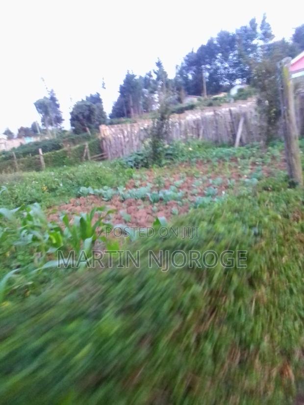 50 by 100 Murengeti - main view