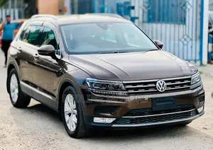 Volkswagen Tiguan 2018 Brown