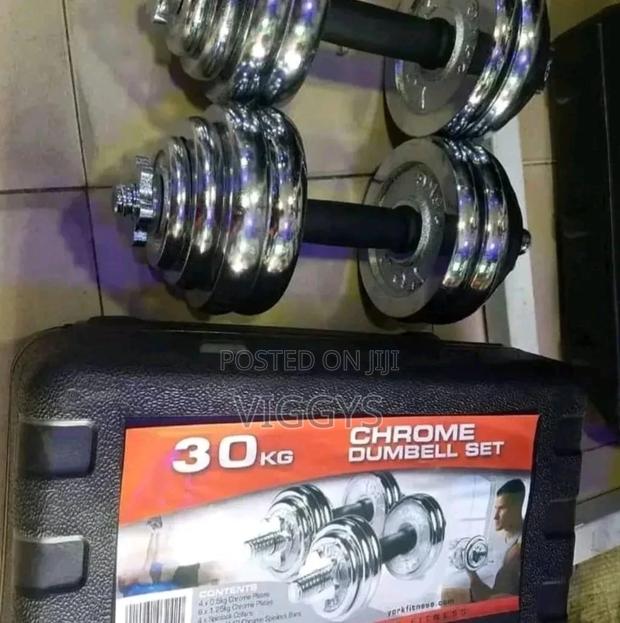 Original 30kg Dumbell Chrome - main view