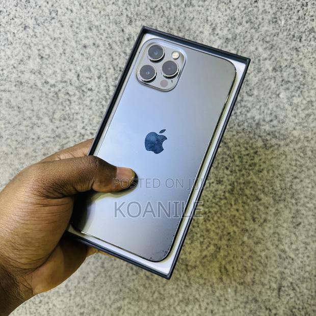 Apple iPhone 12 Pro Max 128 GB Gray