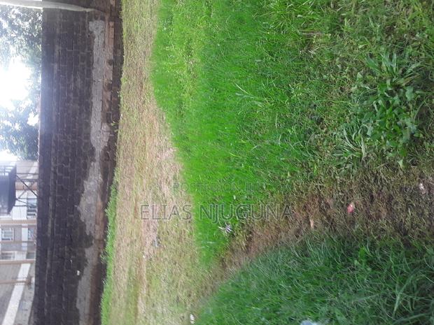 Westland PLOT 130"×100" Acre(0.1333ha.) for Sale With Title. - thumbnail 8
