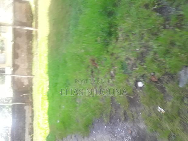 Westland PLOT 130"×100" Acre(0.1333ha.) for Sale With Title. - thumbnail 11