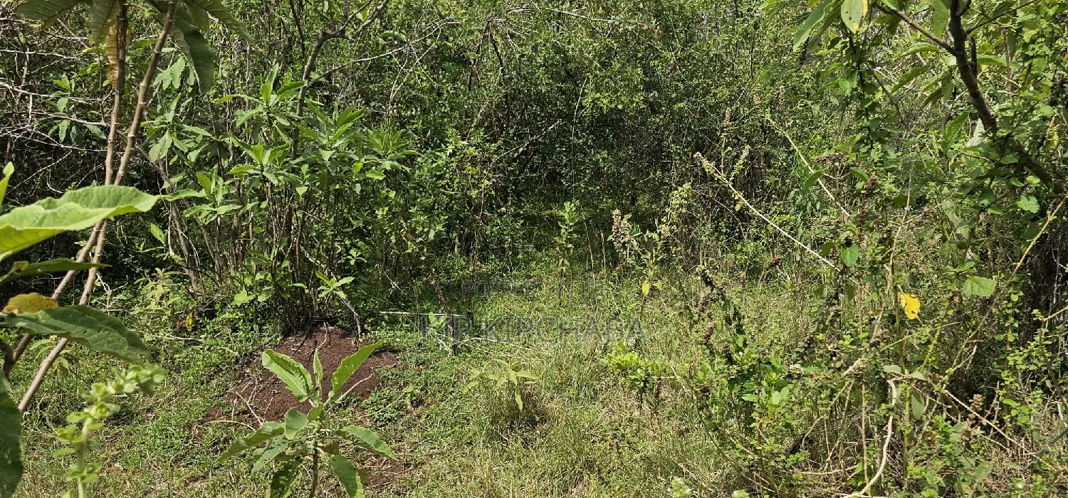 Prime 10 Acres Land for Sale in Kaptuli Eldoret