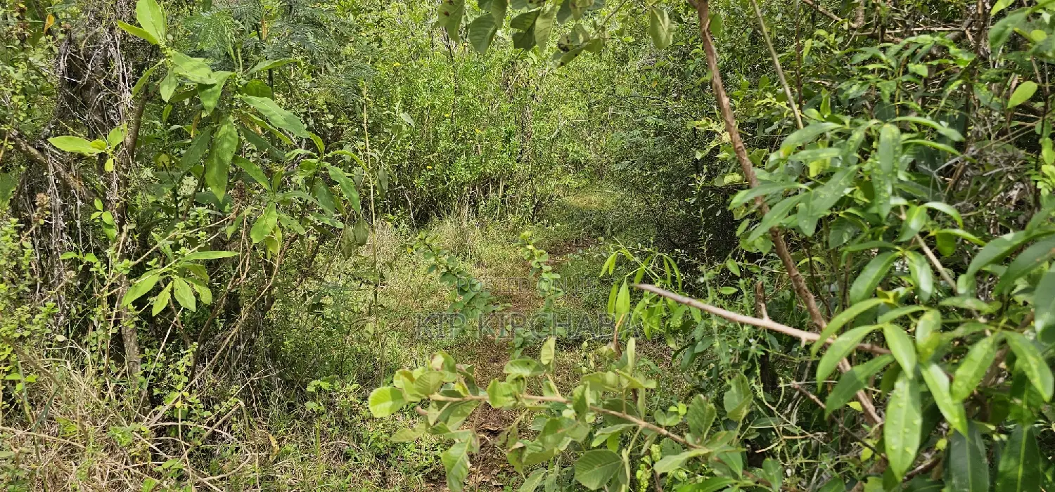 Prime 10 Acres Land for Sale in Kaptuli Eldoret