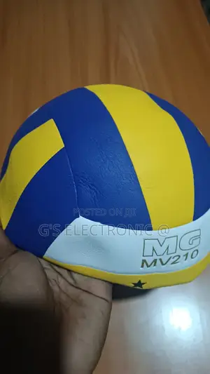 Mikasa Volleyball /Mv210