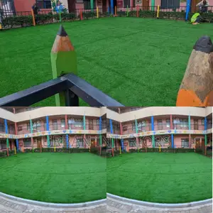 Grass Carpet Grass Carpet Grass Carpet Grass Carpet