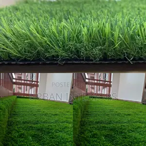 Grass Carpet Grass Carpet Grass Carpet Grass Carpet