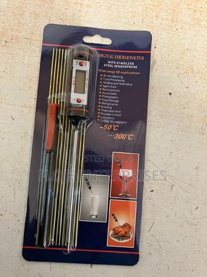 Food Thermometer Digital With Spike -50-300