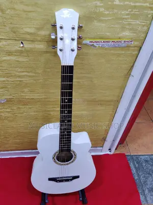 Acoustic Guitar With Bag Free