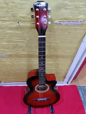Acoustic Guitar With Bag Free