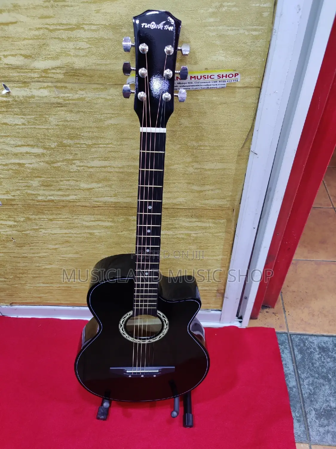 Acoustic Guitar With Bag Free