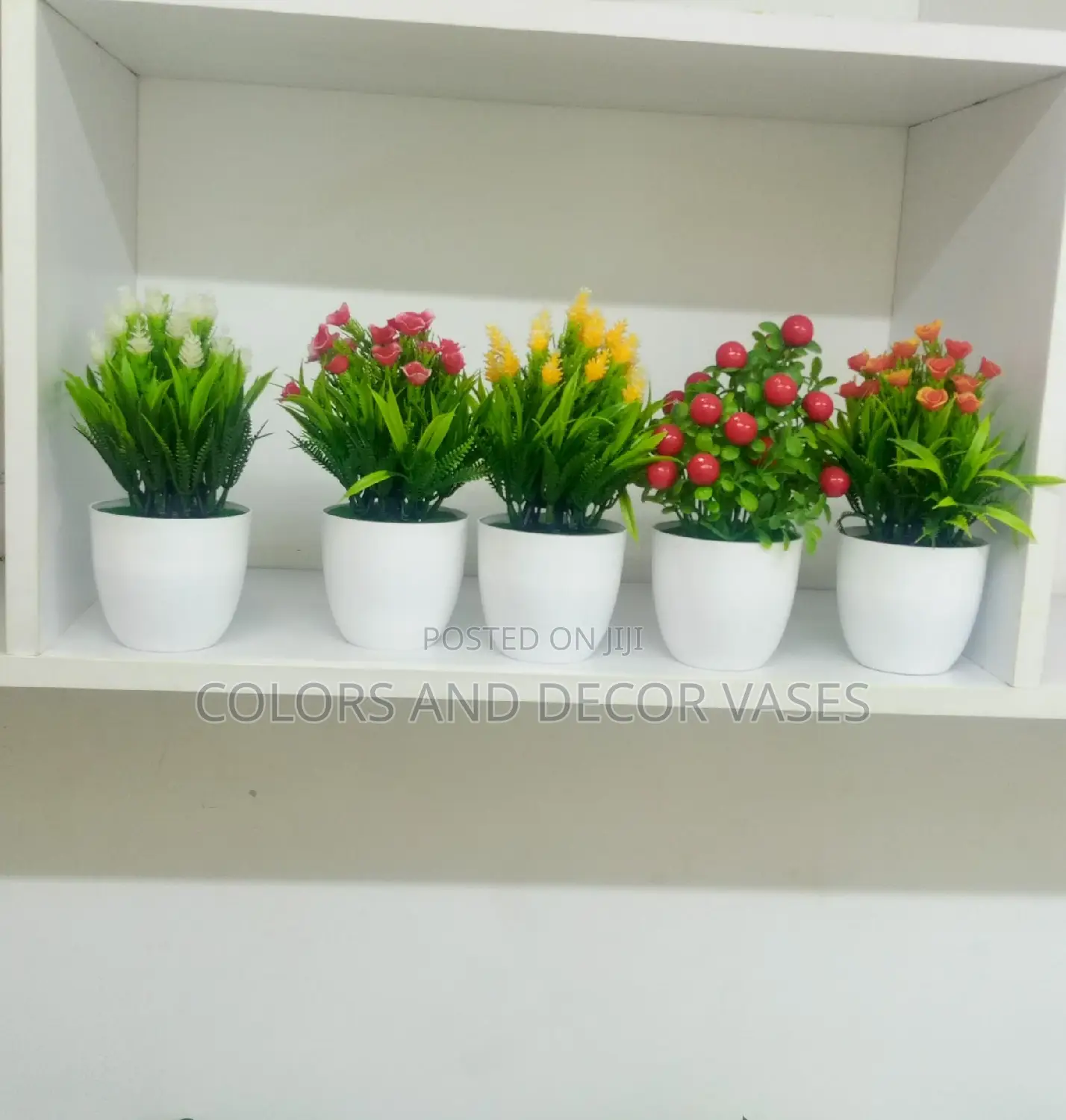 Bonsai Potted Plants