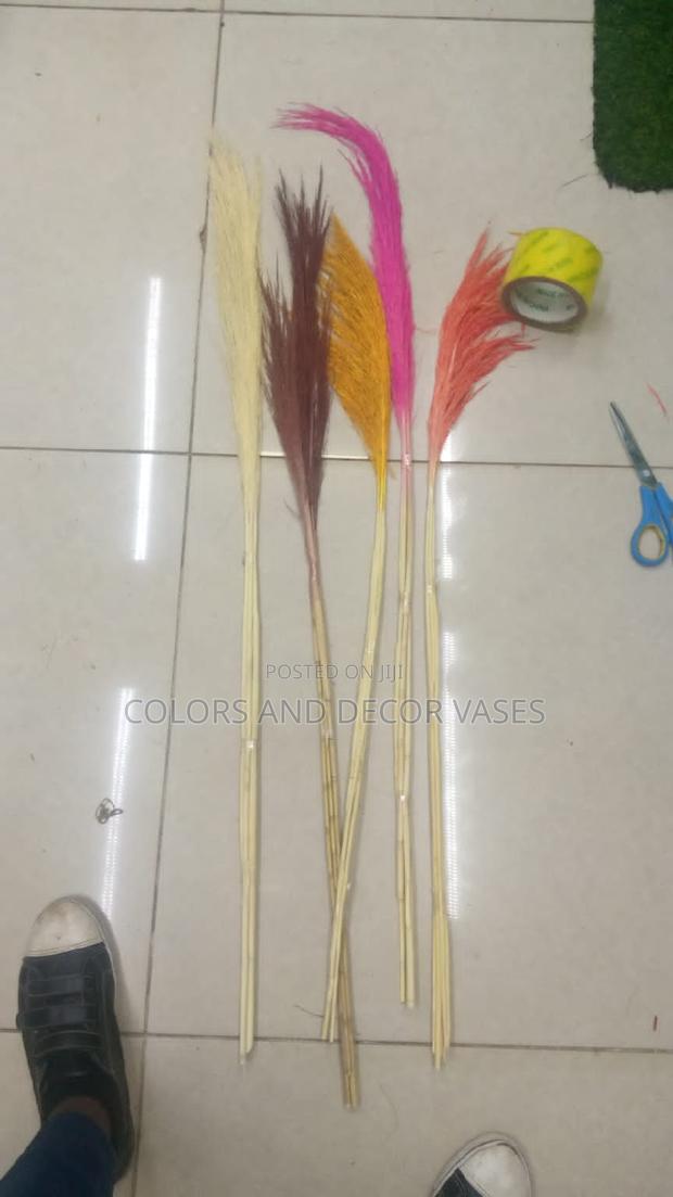 Pampas Grass a Bunch - main view