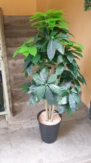 1.6m Long Artificial Avocado Plant