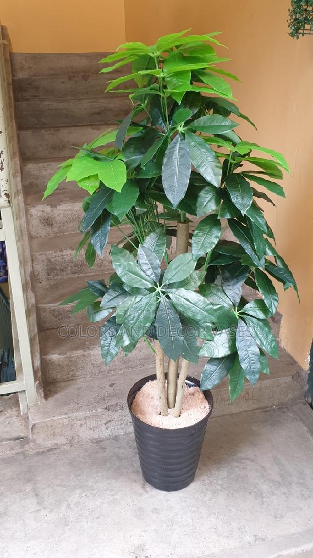 1.6m Long Artificial Avocado Plant - main view