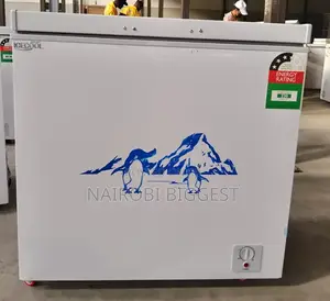 Icecool 169 Litres Freezer