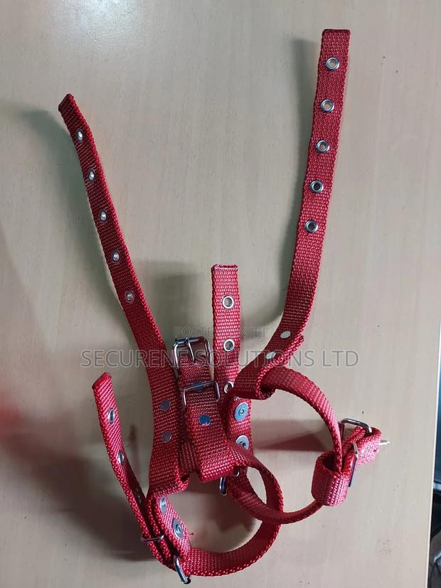 Climbers Stripes - thumbnail 3