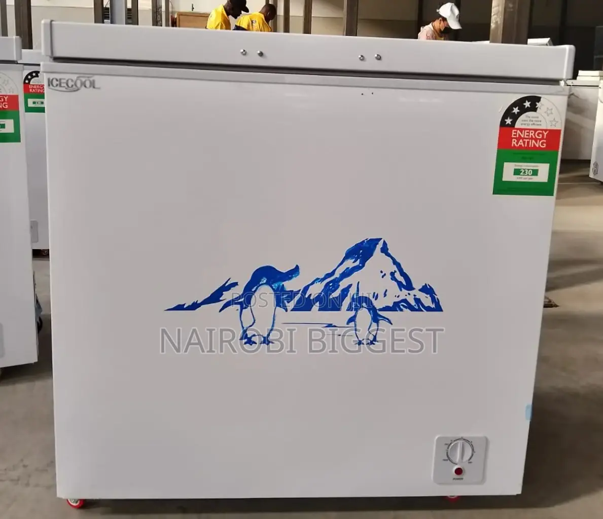 Icecool 169 Litres Freezer